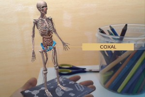 Una app para aprender anatomía