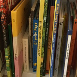 ¿Necesita la literatura infantil y juvenil recomendación por edades?