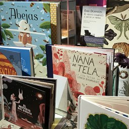 Radiografía de la literatura infantil en España