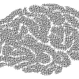 La actividad cerebral en la infancia da pistas de nuestra evolución lectora