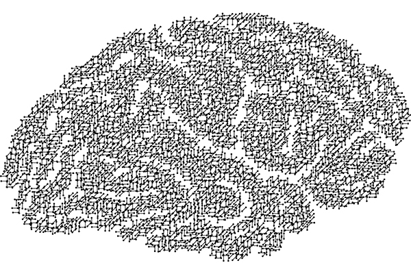 La actividad cerebral en la infancia da pistas de nuestra evolución lectora