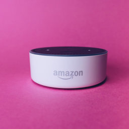 Alexa está "protegiendo" a los niños y niñas de la verdad