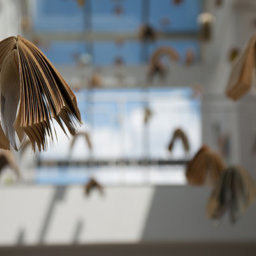 Dinamización de bibliotecas de centros y espacios de lectura - Elisa Yuste. Consultoría en Cultura y Lectura