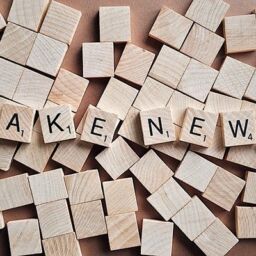 Curso Universitario de Especialización en Fake news